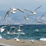 Pelda Apartment, Sea View, Parking, Pet Friendly *
