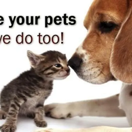 Apartment Pelda Apartment, Sea View, Parking, Pet Friendly *