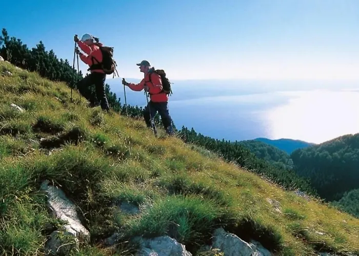 Апартаменти Pelda Apartment, Sea View, Parking, Pet Friendly Опатія