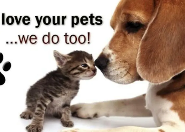 Διαμέρισμα Pelda Apartment, Sea View, Parking, Pet Friendly *